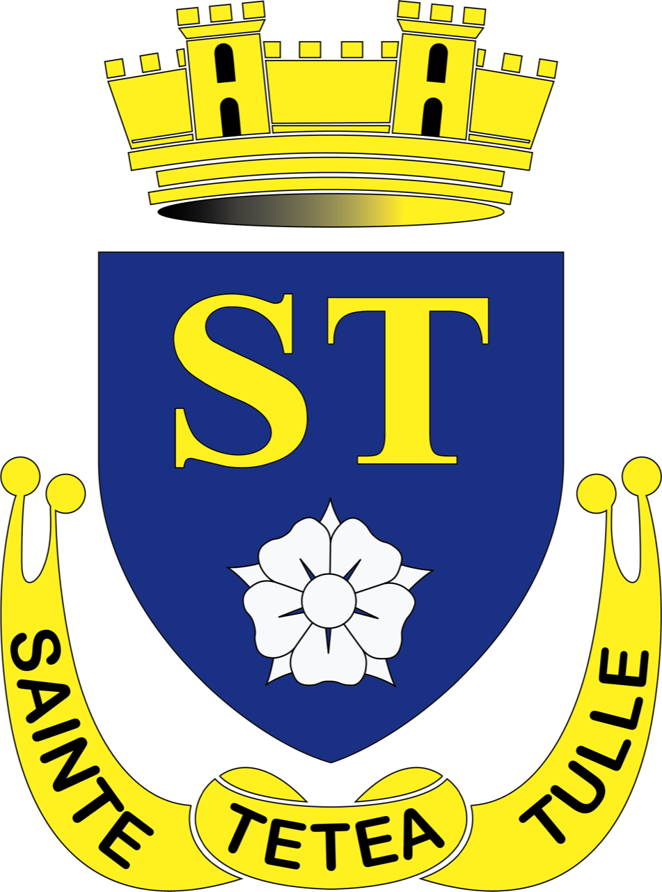 STVS sponsor